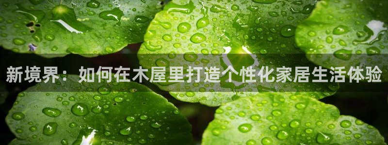 安信4特邀55 12：新境界：如何在木屋里打造个性化家居生活体验