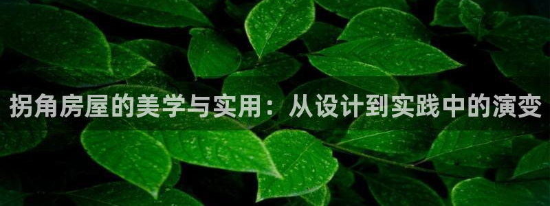 安信12账号：拐角房屋的美学与实用：从设计到实践中的演变