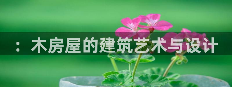 安信12级粉丝团福利：：木房屋的建筑艺术与设计