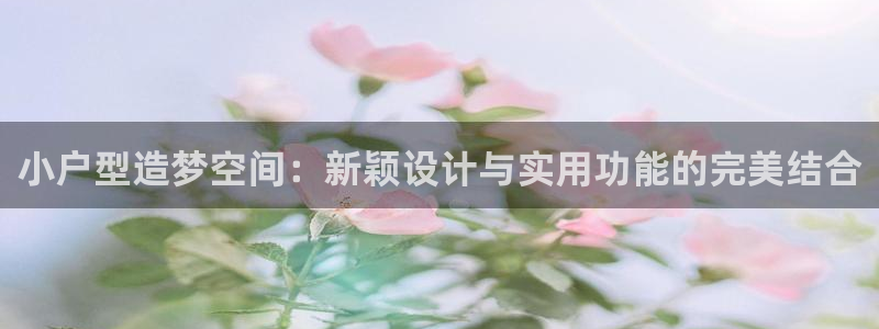 安信12娱乐注册：小户型造梦空间：新颖设计与实用功能的完美结合