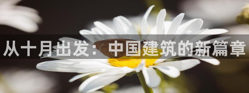 安信12级大众：从十月出发：中国建筑的新篇章