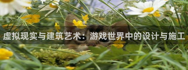 安信安翼 12账号：虚拟现实与建筑艺术：游戏世界中的设计与施工