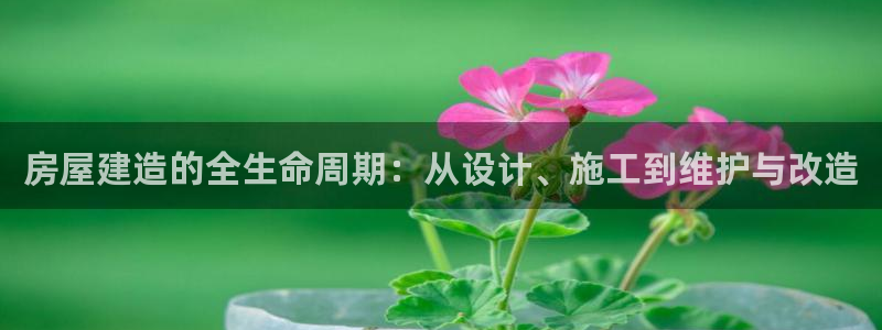 安信12正版下载：房屋建造的全生命周期：从设计、施工到维护与改造