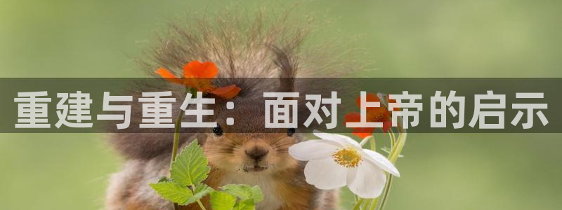 安信12周年庆典：重建与重生：面对上帝的启示