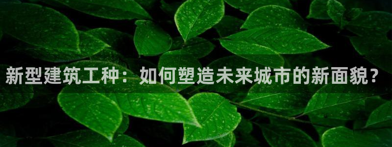安信安盈12最新消息：新型建筑工种：如何塑造未来城市的新面貌？