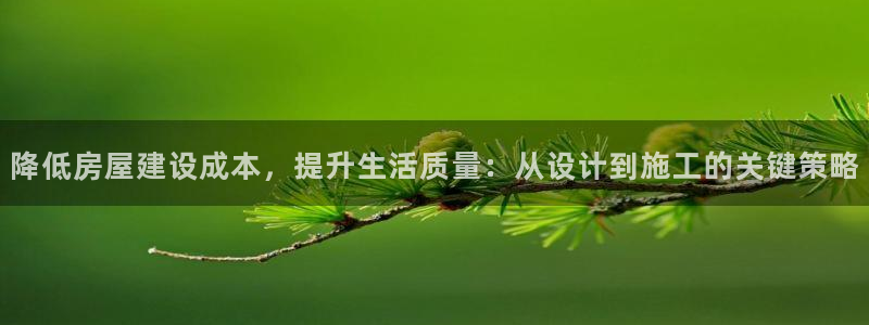 esp-12s安信：降低房屋建设成本，提升生活质量：从设计到施工的关键策略