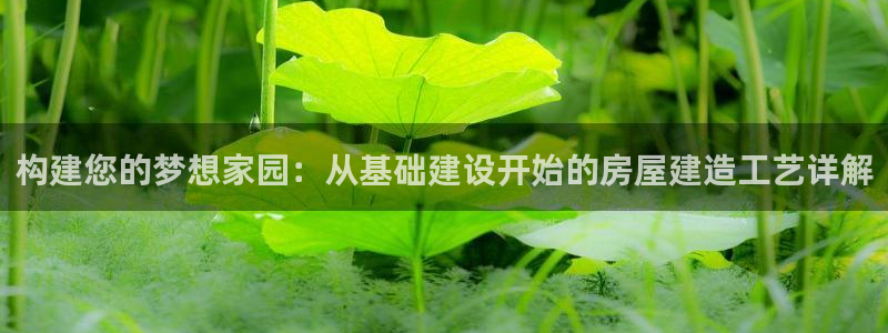 安信12注册咋7O777：构建您的梦想家园：从基础建设开始的房屋建造工艺详解