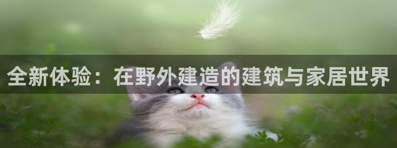 安信12娱乐登录：全新体验：在野外建造的建筑与家居世界