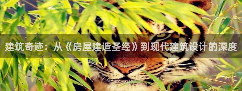 安信证券 12位：建筑奇迹：从《房屋建造圣经》到现代建筑设计的深度