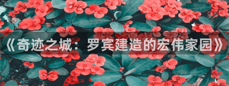 安信12注册登录下戴：《奇迹之城：罗宾建造的宏伟家园》