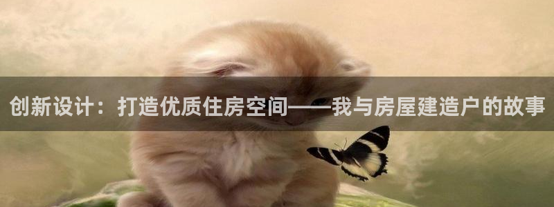安信12正版下载：创新设计：打造优质住房空间——我与房屋建造户的故事