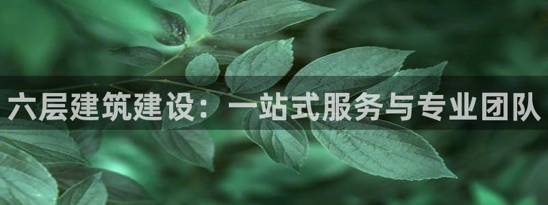 12月安信推荐：六层建筑建设：一站式服务与专业团队