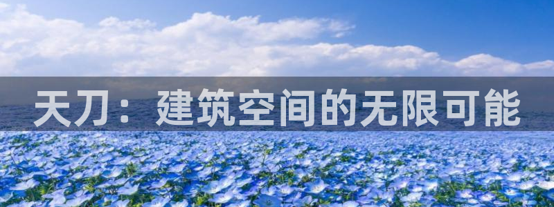 安信4娱乐去55 12