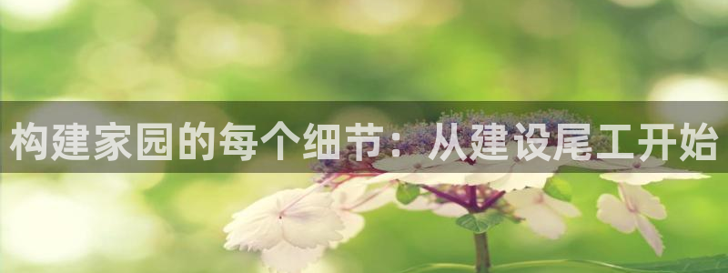 安信esp12：构建家园的每个细节：从建设尾工开始