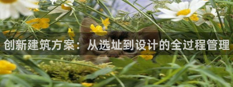 安信可12f12e：创新建筑方案：从选址到设计的全过程管理