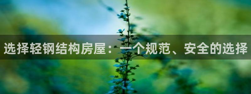 安信12娱乐7o777还：选择轻钢结构房屋：一个规范、安全的选择