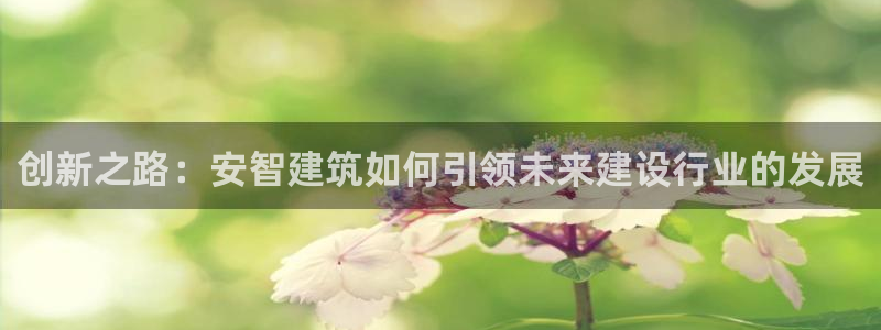 安信12级大众：创新之路：安智建筑如何引领未来建设行业的发展