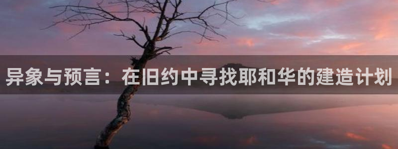 信安12乐打棒：异象与预言：在旧约中寻找耶和华的建造计划