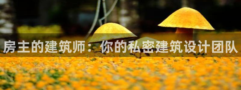 安信12是啥：房主的建筑师：你的私密建筑设计团队