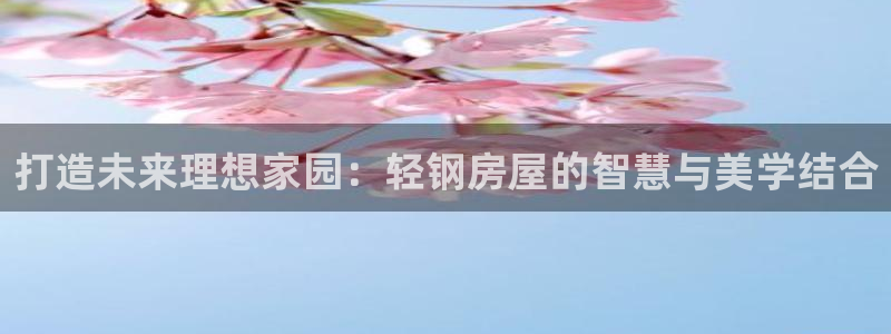 安信12级粉丝团福利：打造未来理想家园：轻钢房屋的智慧与美学结合