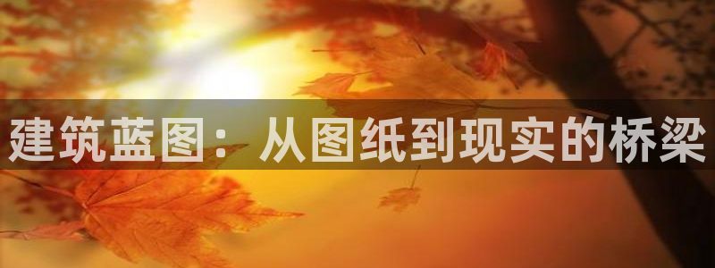 安信可12f12e：建筑蓝图：从图纸到现实的桥梁