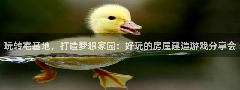 安信12娱乐注册：玩转宅基地，打造梦想家园：好玩的房屋建造游戏分享会