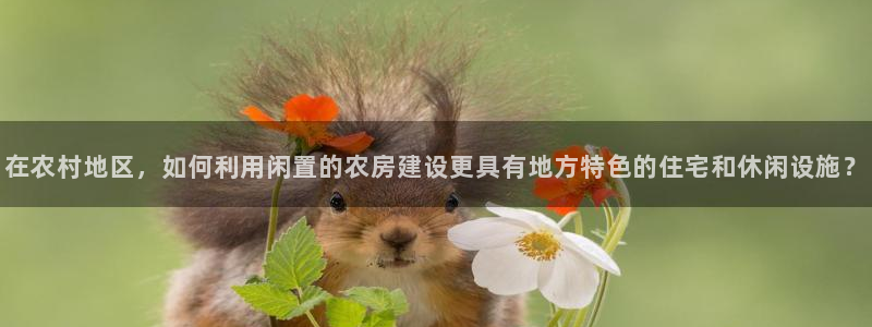 安信12怎么注册：在农村地区，如何利用闲置的农房建设更具有地方特色的住宅和休闲设施？