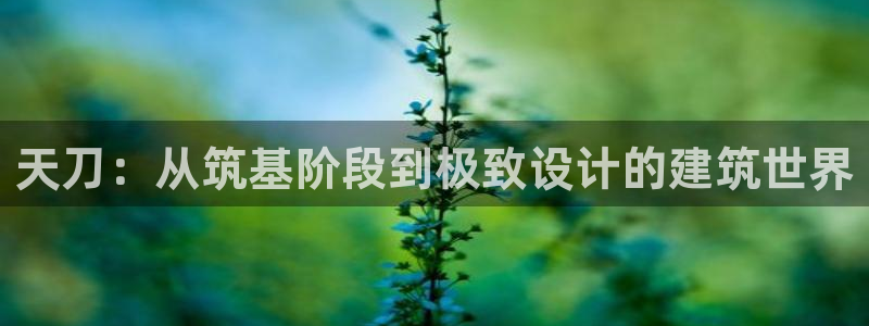 安信地板12mm：天刀：从筑基阶段到极致设计的建筑世界